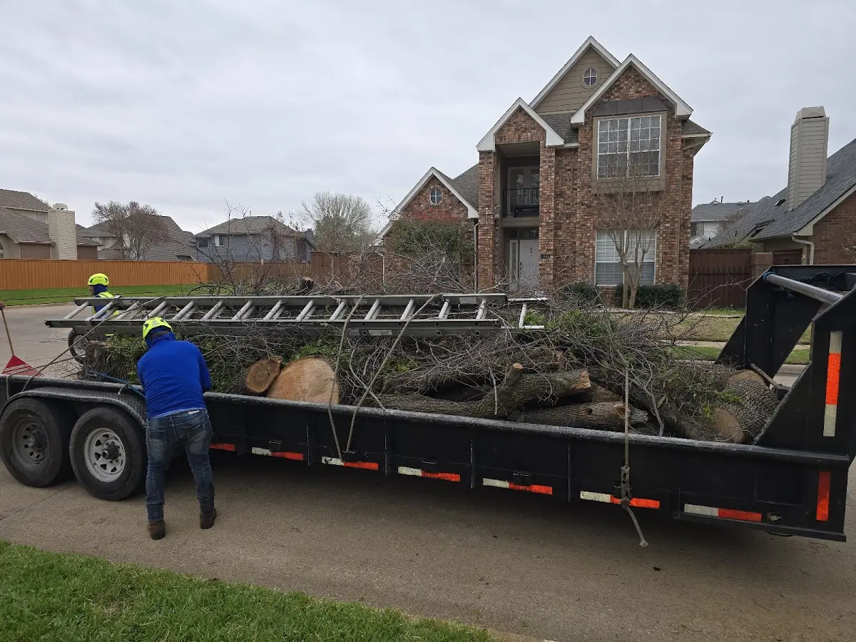Expert Tree Pest Control with proper safety equipment in Landisville